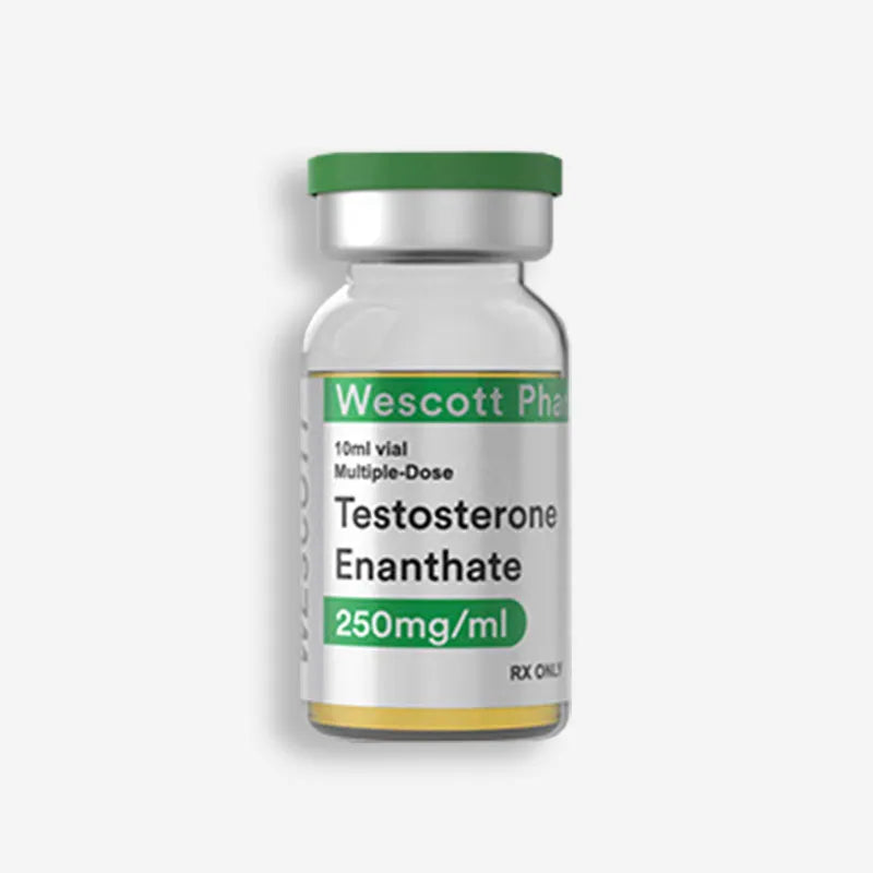 TESTOSTERONE ENANTHATE WESCOTT 250MG – 10ML
