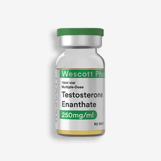 TESTOSTERONE ENANTHATE WESCOTT 250MG – 10ML