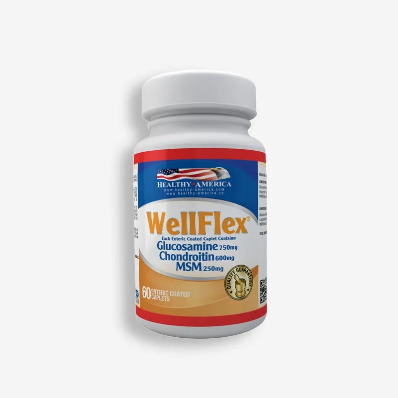 WELL FLEX GLUCOSAMINE 60 CAPSULAS – HEALTHY AMERICA